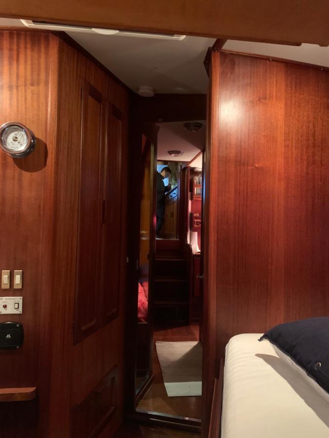 Delphin 4 Odysea It