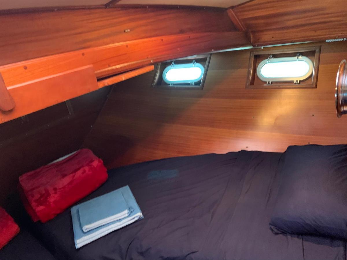 Delphin 4 Odysea It San Remo