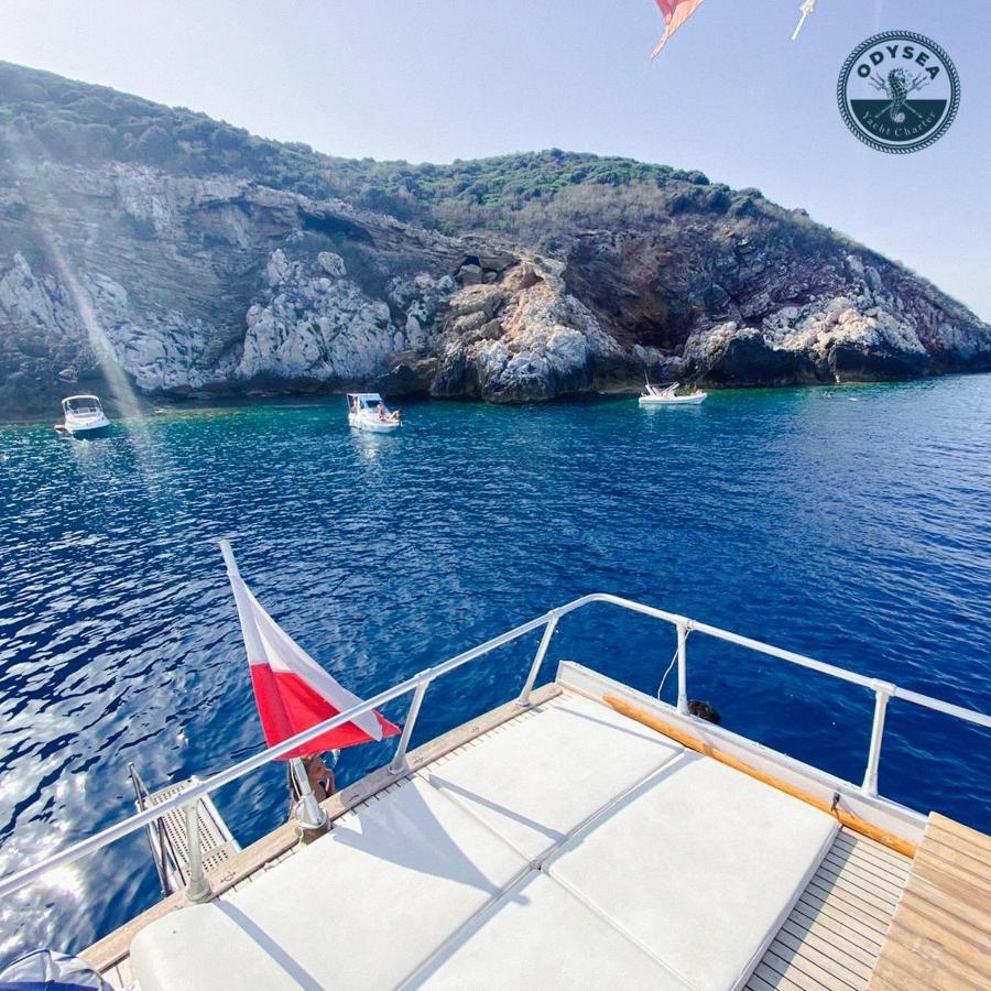 Delphin 4 Odysea It