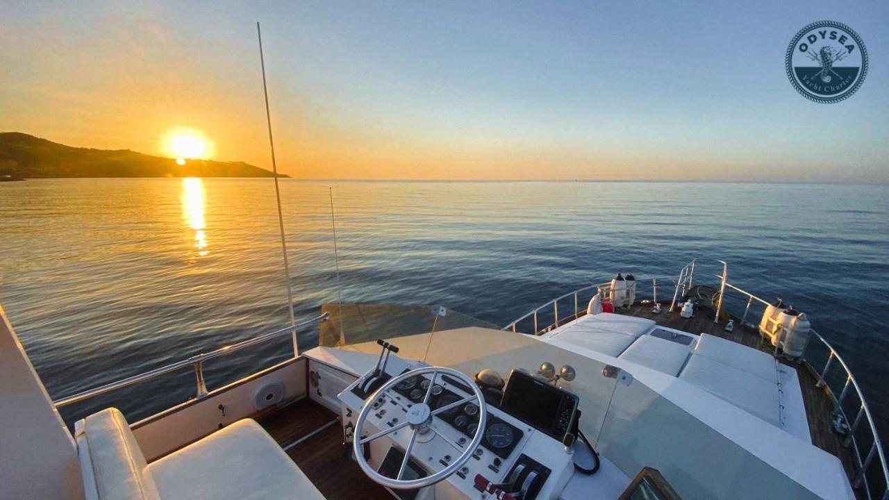 Delphin 4 Odysea It