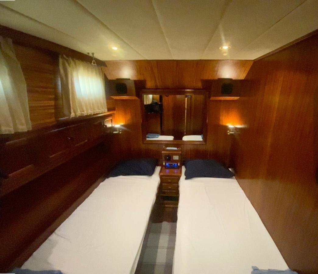 Delphin 4 Odysea It Botel